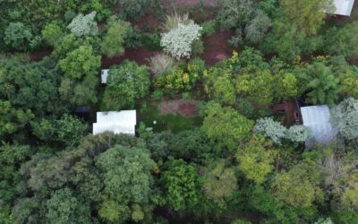 El Soberbio: una aventura inesperada en la selva misionera